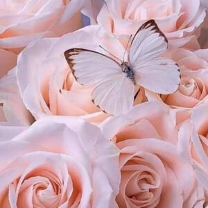 دانلود آهنگ بوس بده به من عزیزکم